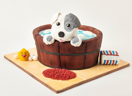 Sculpted or Carved Cake