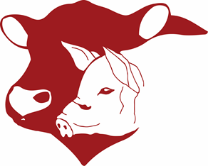 Llechwedd Trading Ltd image.